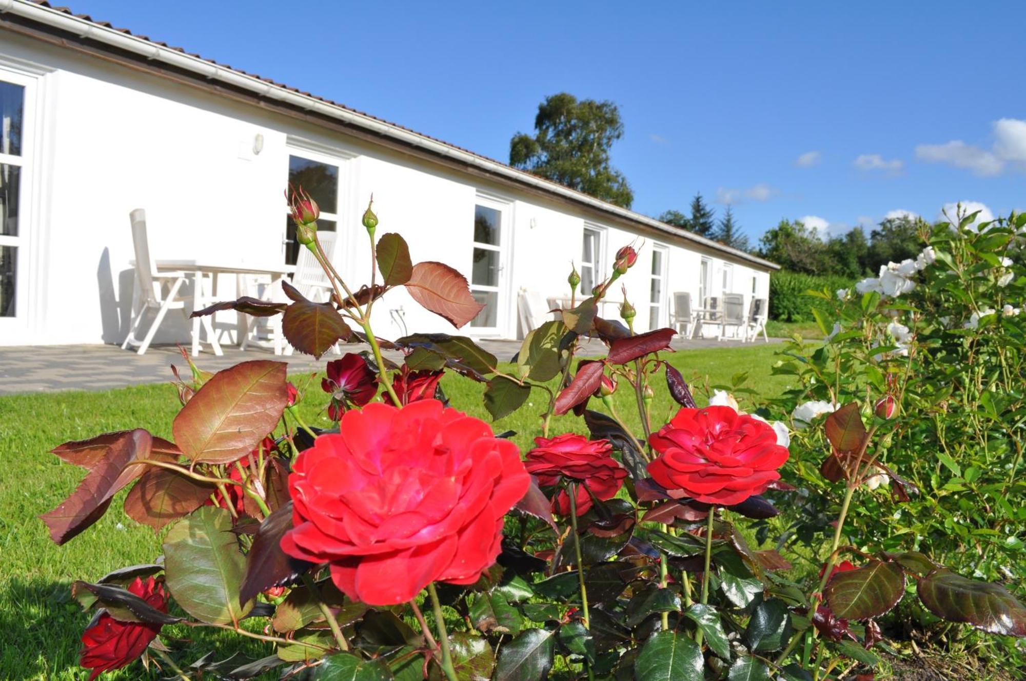 Koebenhovedskov Bed & Breakfast Rødding Εξωτερικό φωτογραφία
